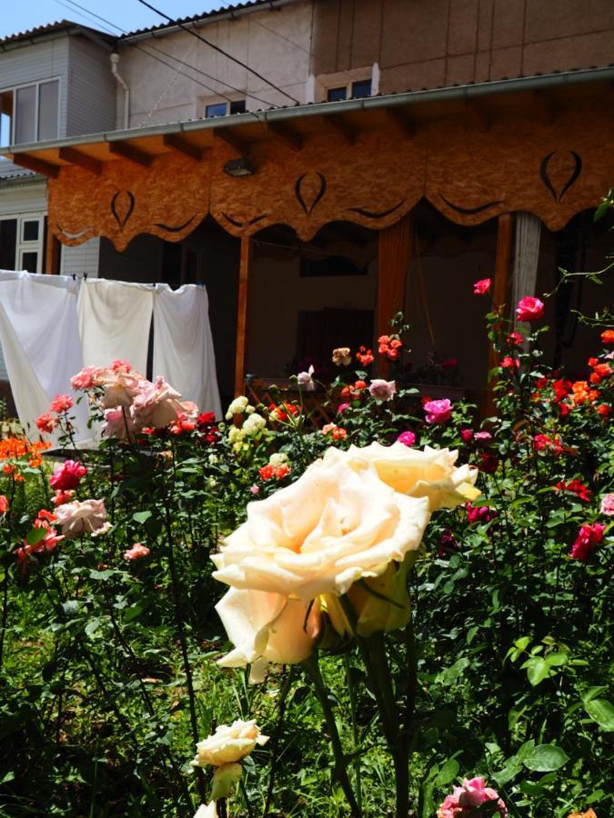 Baktygul Guesthouse Naryn 外观 照片