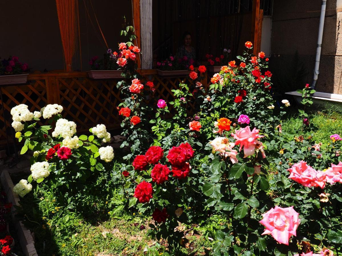 Baktygul Guesthouse Naryn 外观 照片