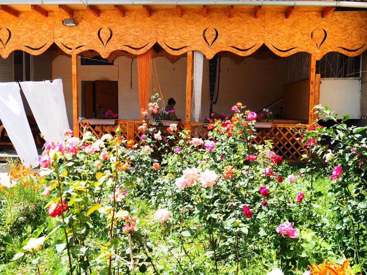 Baktygul Guesthouse Naryn 外观 照片