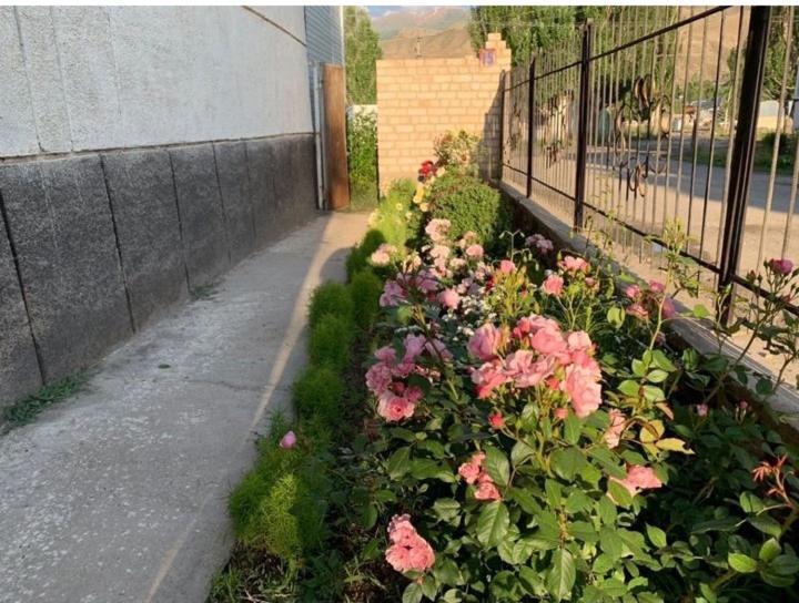 Baktygul Guesthouse Naryn 外观 照片